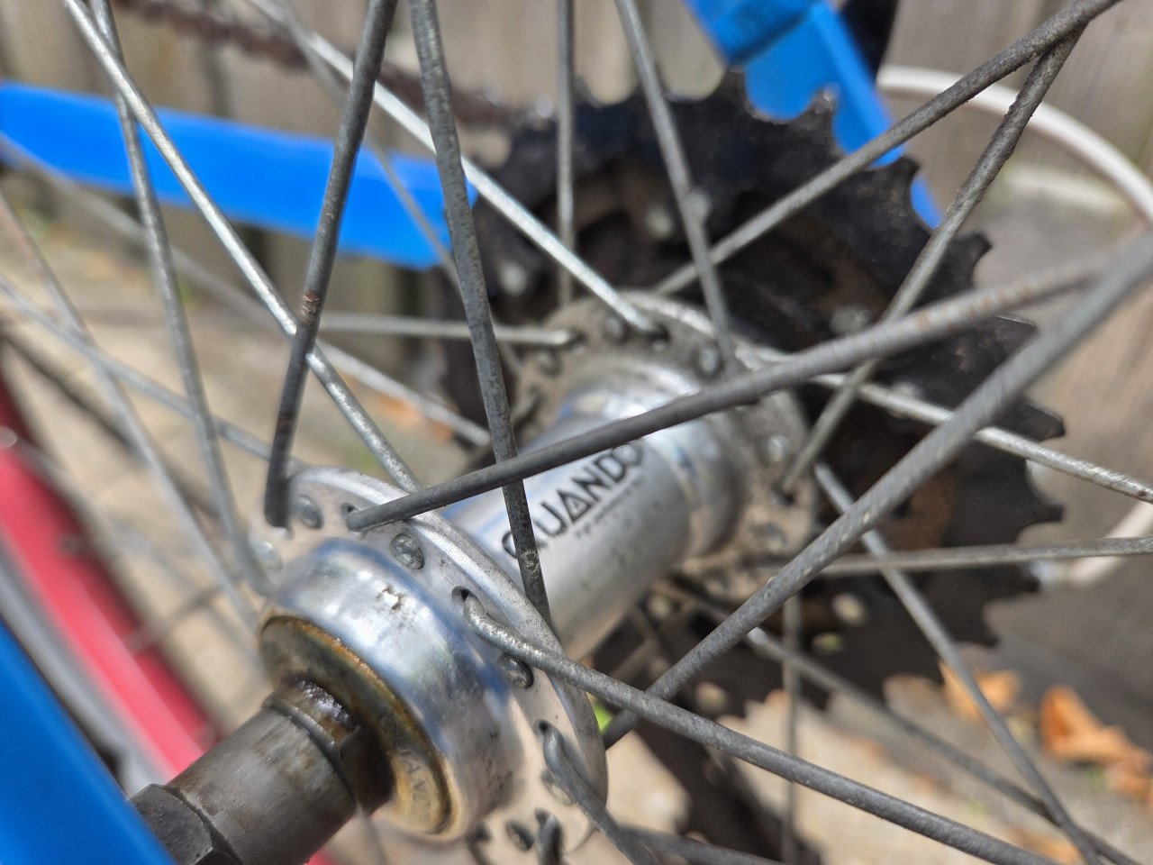 Batavus Snake 24 inch met 7 versnellingen