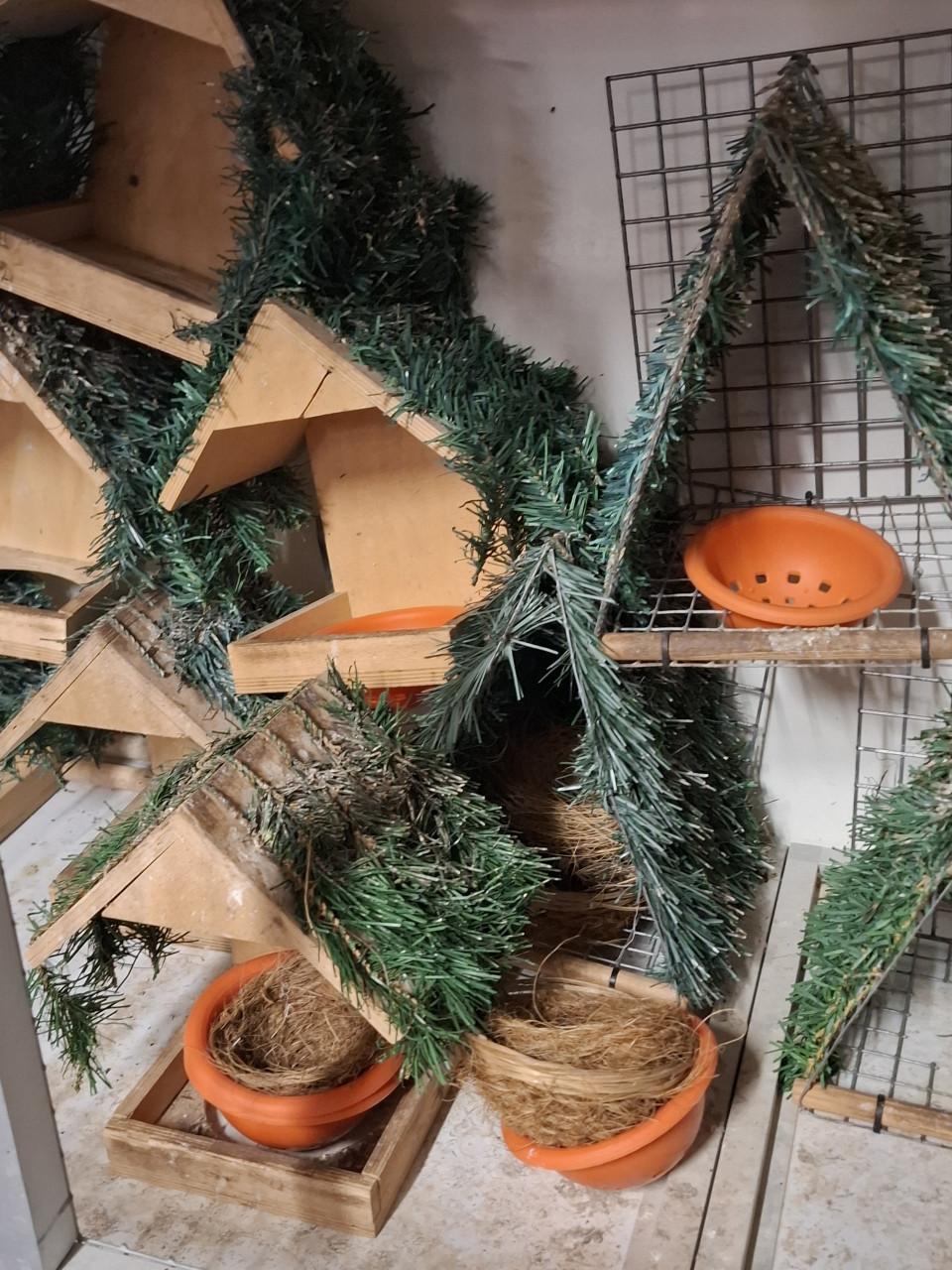 Gebruikte nestkasten voor tropen/wildzang