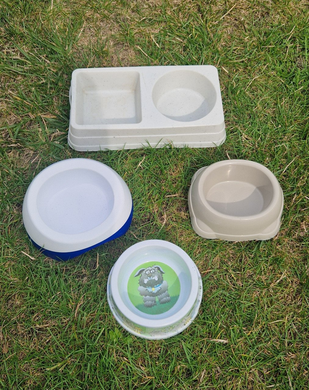 Transportbox, kattenluik, waterfontein, voer- drinkbakjes, nagelschaartje