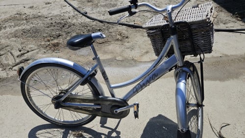 Batavus diva