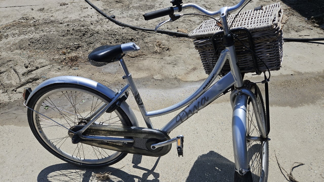 Batavus diva