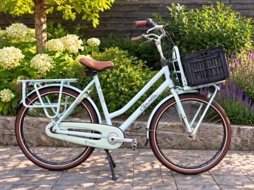 🚲 Gazelle Miss Grace Damesfiets | 7 Versnellingen | 59 cm