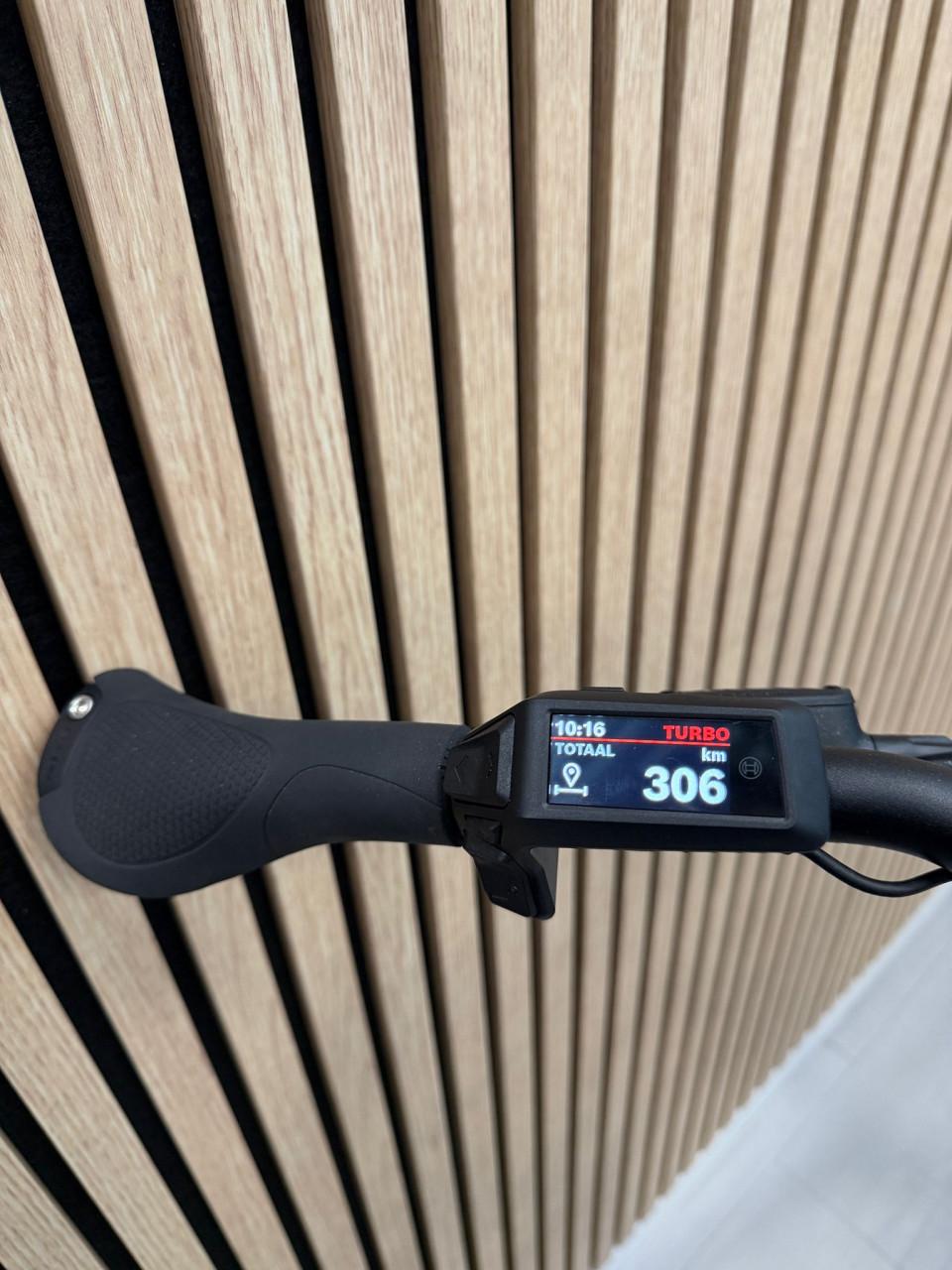 Pegasus Siena E8F Bosch Active Line Plus 306KM 55CM 400Wh Belt