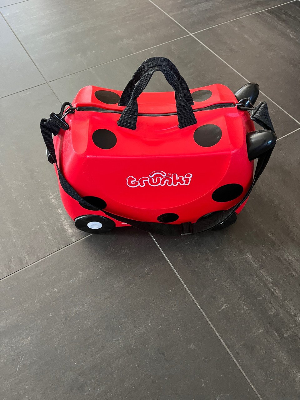 Trunki lieveheersbeestje