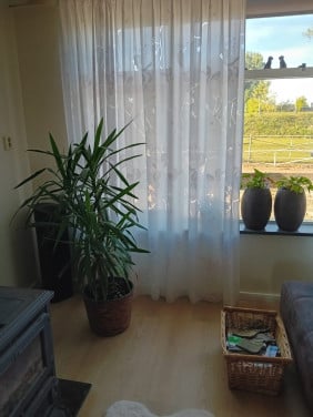 Gordijnen inbetween