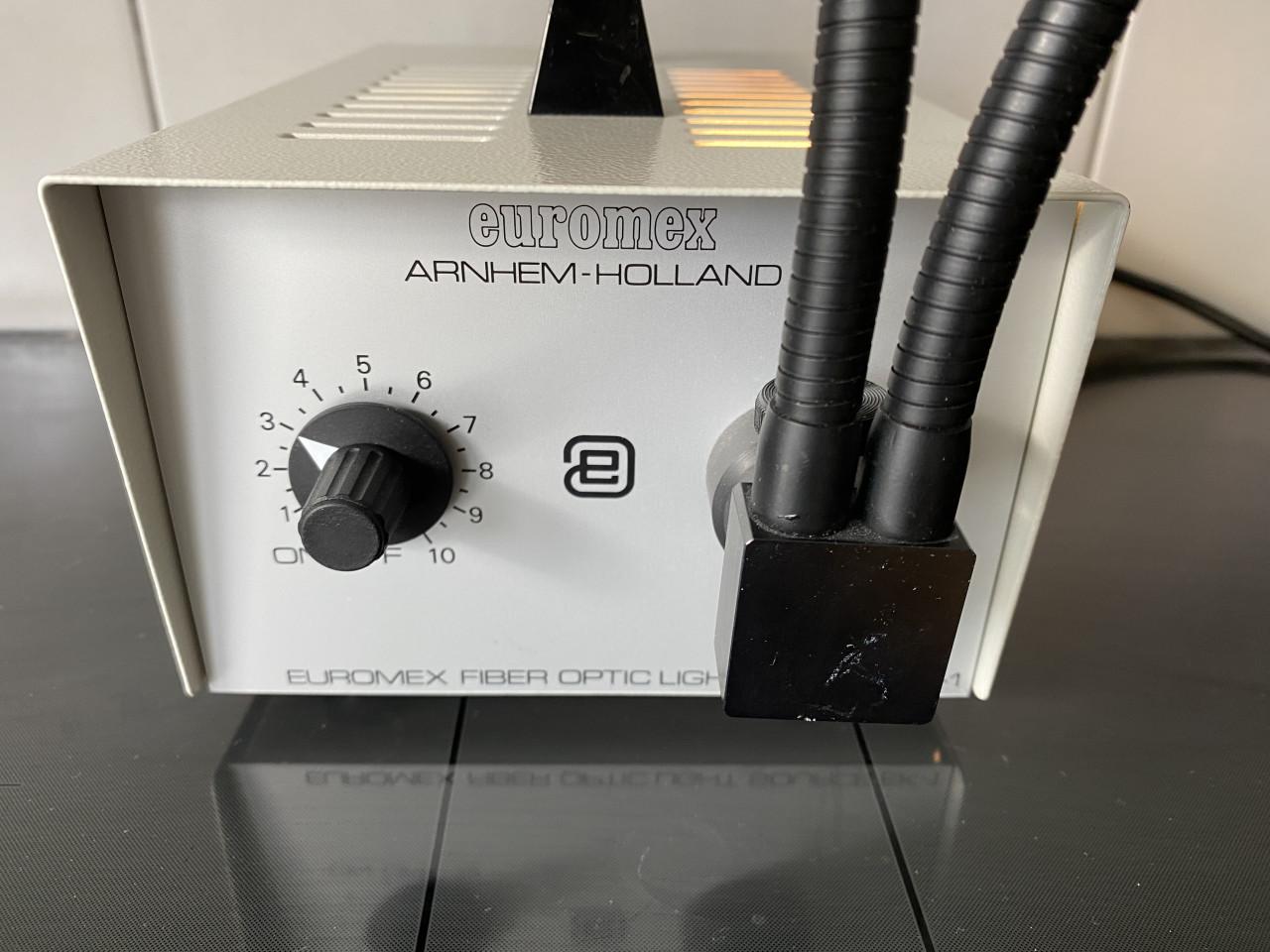 Koud lichtbron Euromex 100W met dubbele starre glasfiber lichtgeleiders