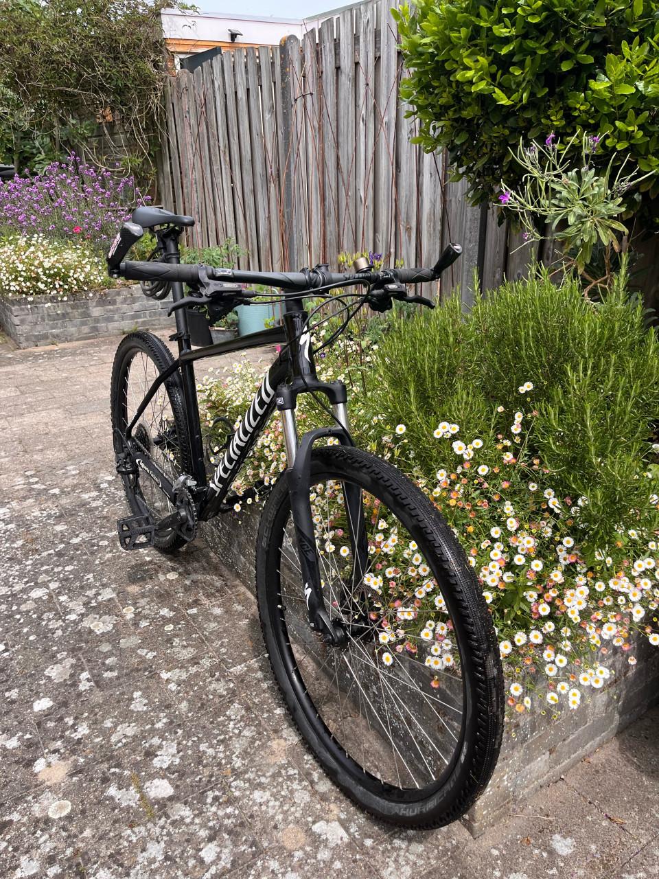Specialized XL mountainbike