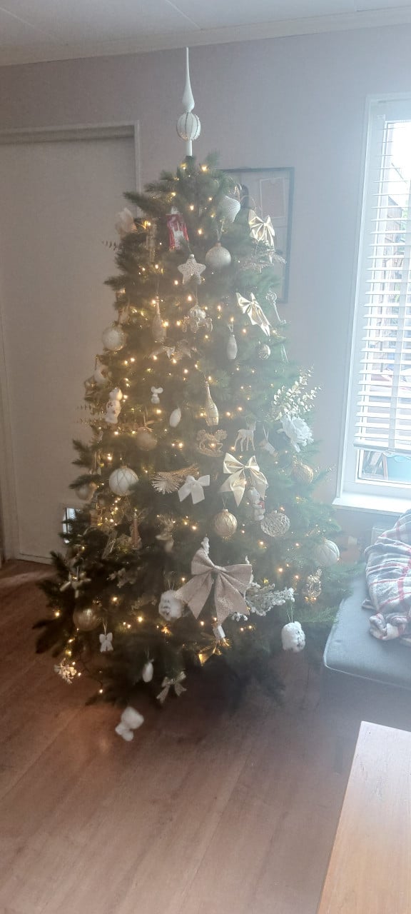 Triumph Tree kerstboom – Forest Frosted Pine (215 cm)