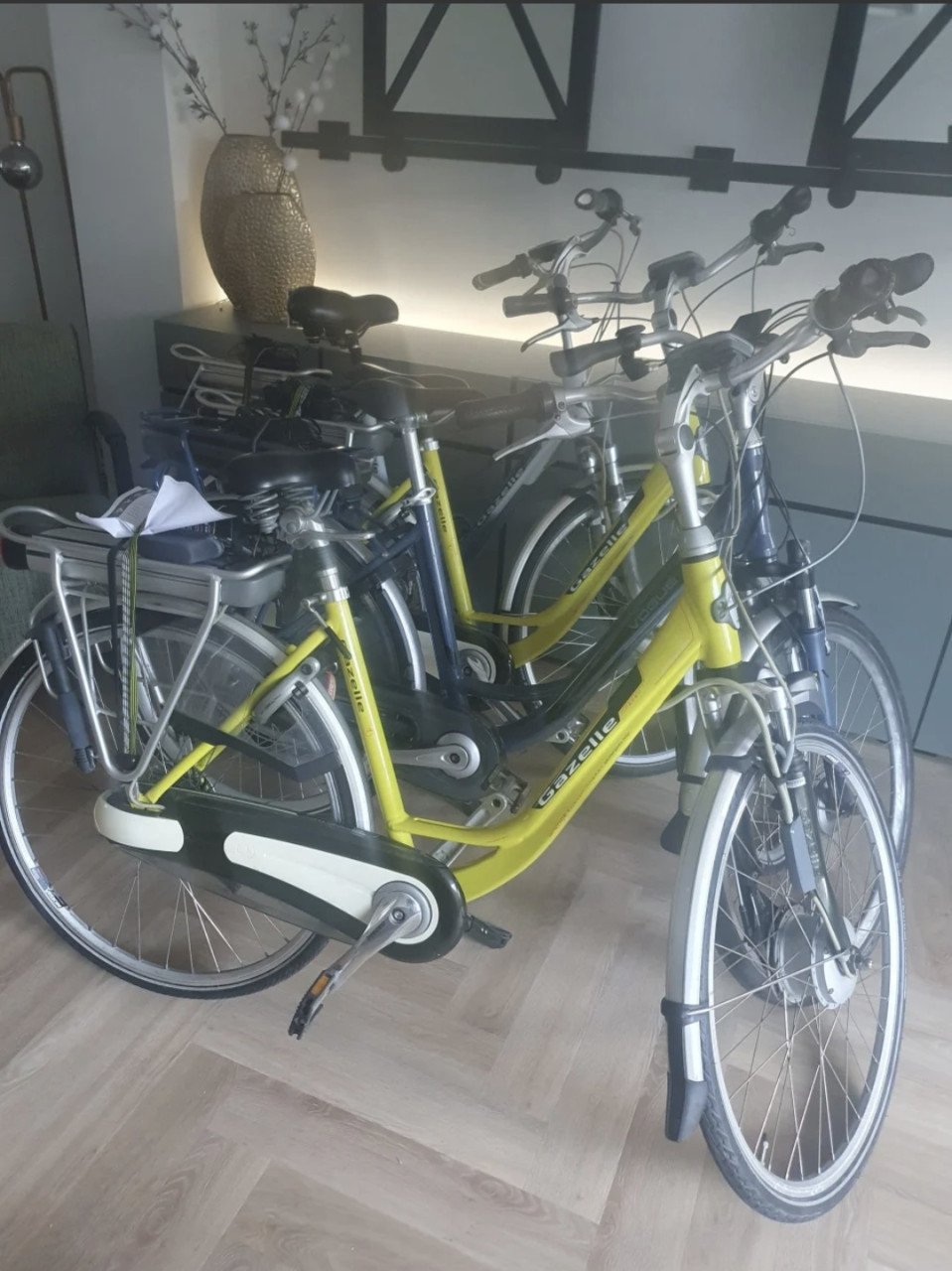 Elektrische fiets MC | bezorgen mogelijk.
