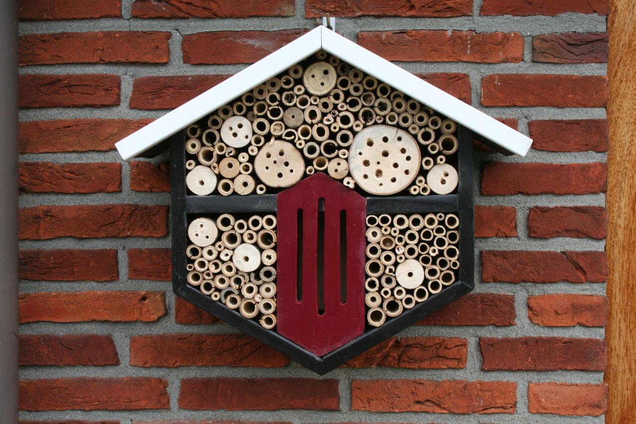 Insectenhotel