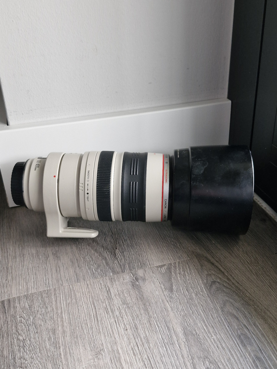 Canon EF 100-400 mm lens