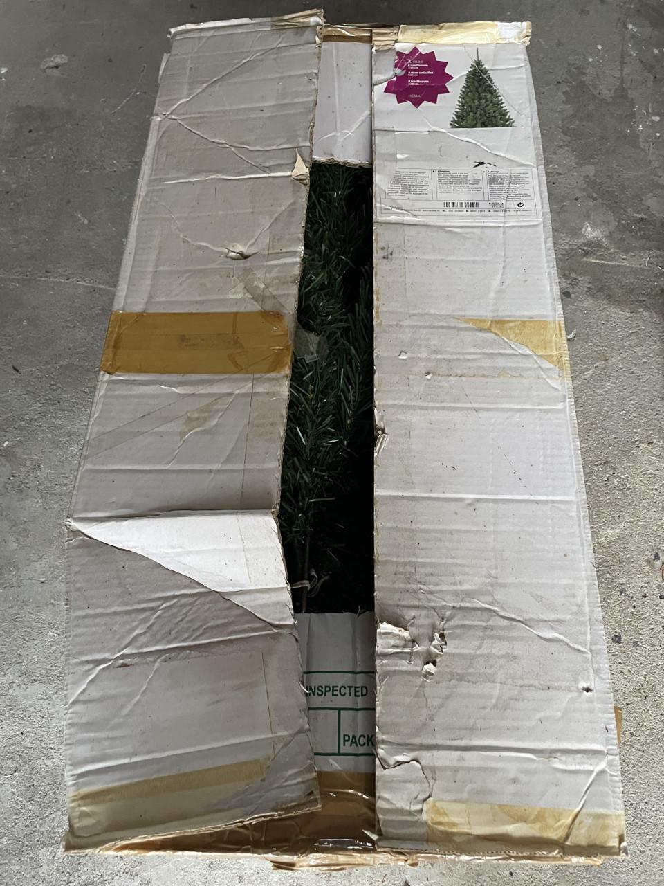 Kerstboom voor mensen met kleine beurs