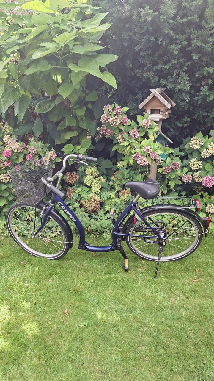 Meisjes dames fiets