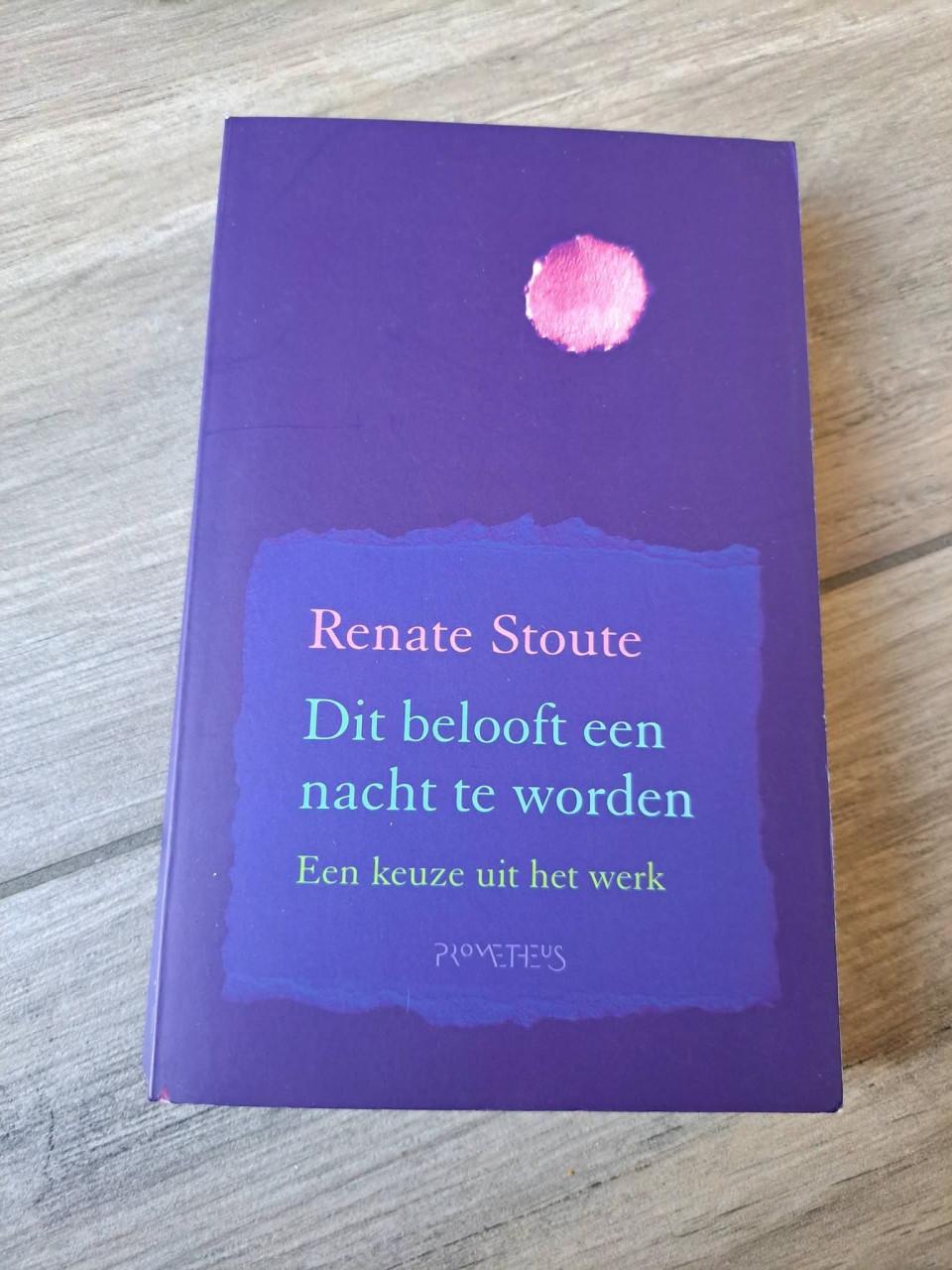 Dit belooft een nacht te worden van Renate Stoute