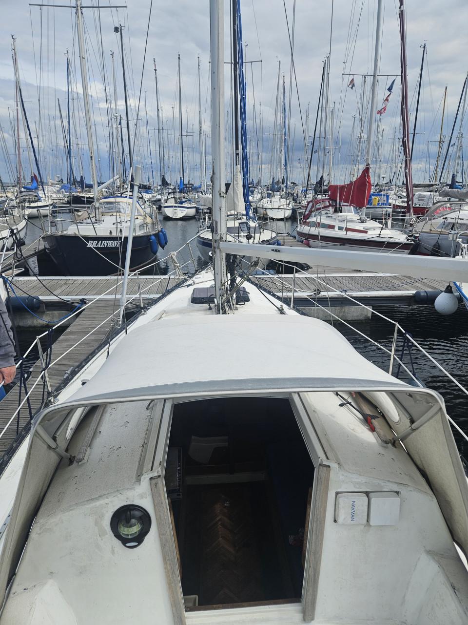 Standfast Loper 27 zeilboot