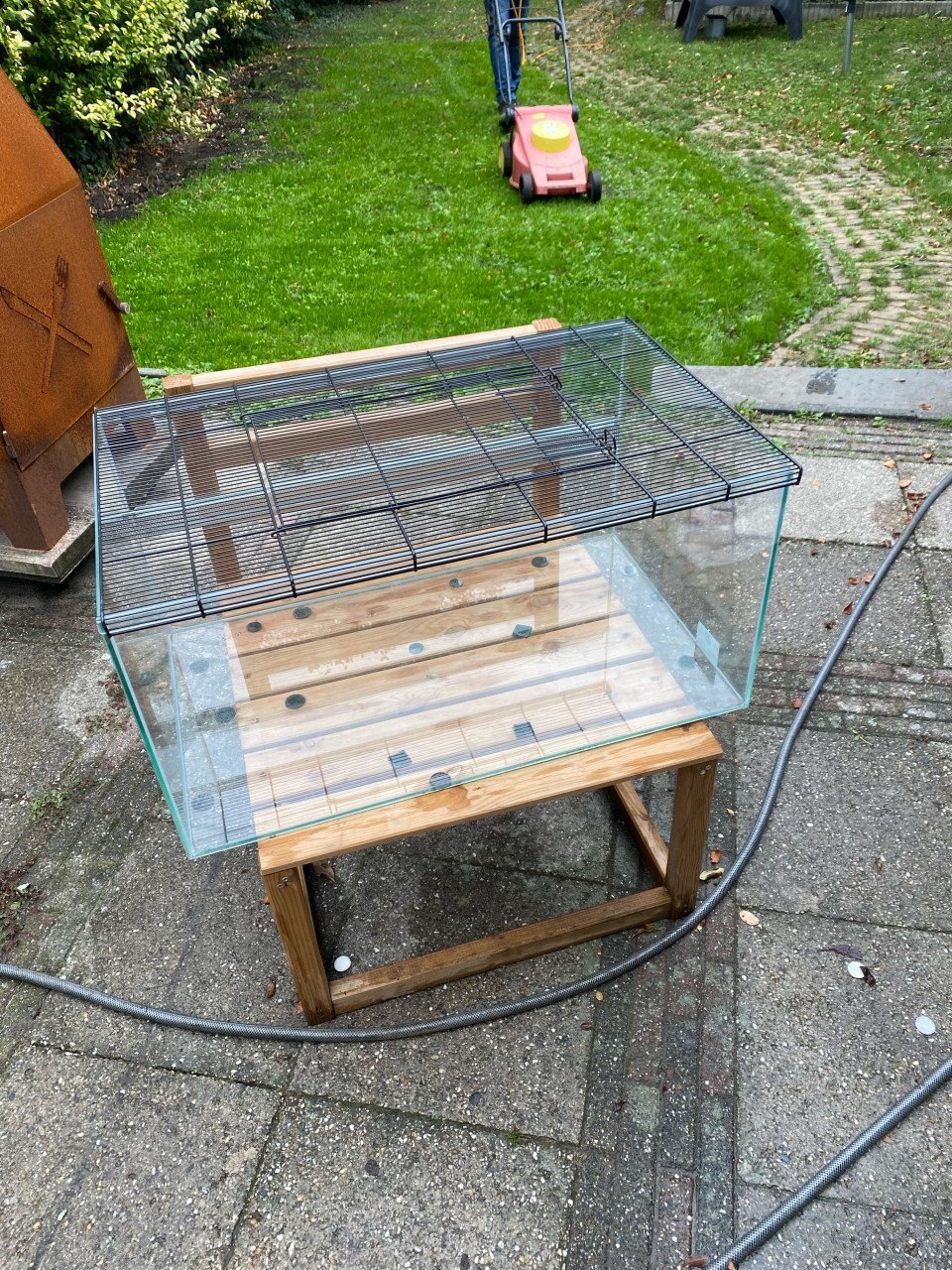 Terrarium hamster