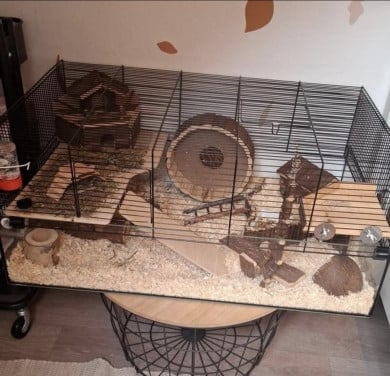 Hamster met hok en accessoires