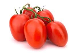 Tomatenplantjes, paprikaplantjes en gele afrikanen