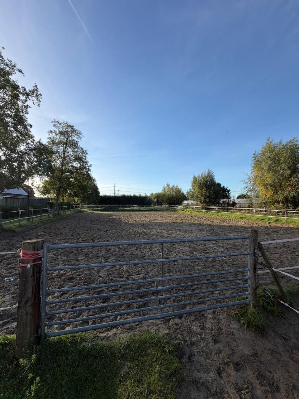 1 stal vrij, omgeving Kapelle (Zeeland)