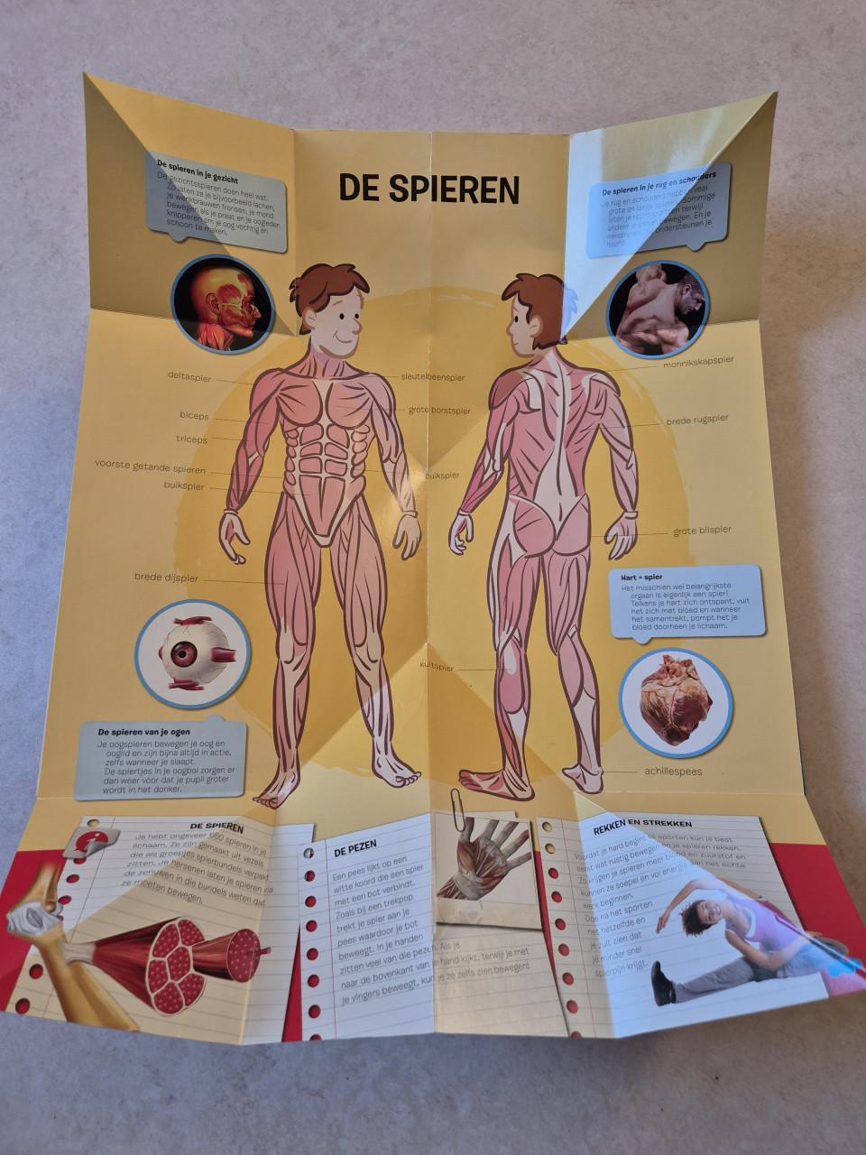 Uitvouwatlas van het menselijk lichaam