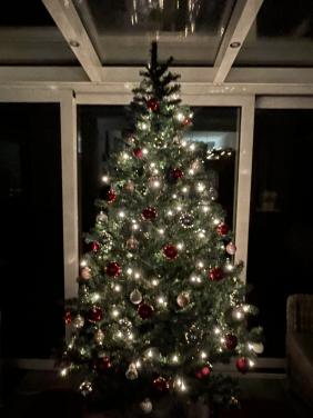 Kerstboom voor mensen met kleine beurs