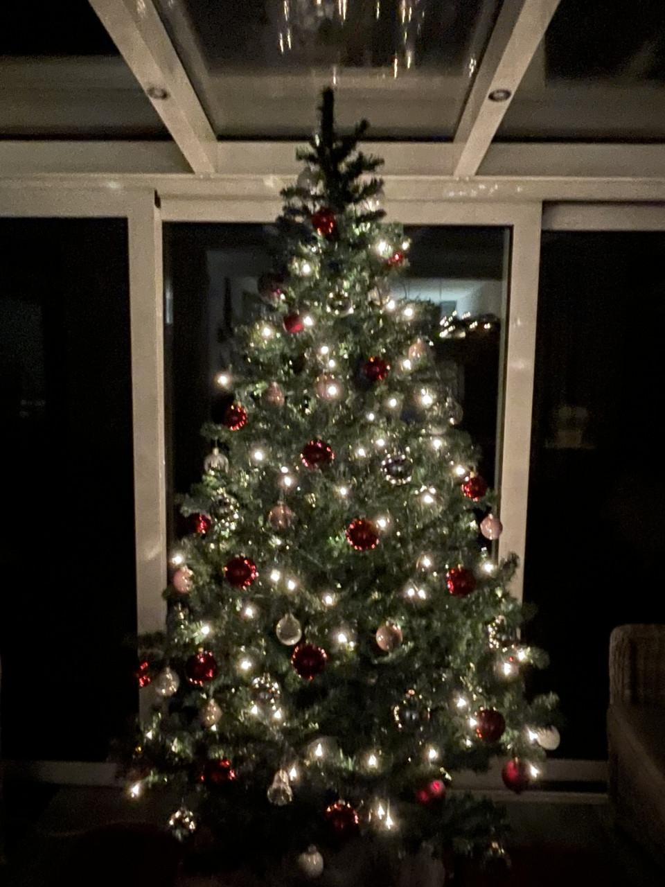 Kerstboom voor mensen met kleine beurs