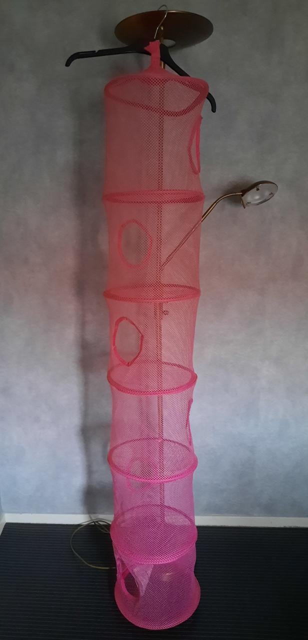 Organizer