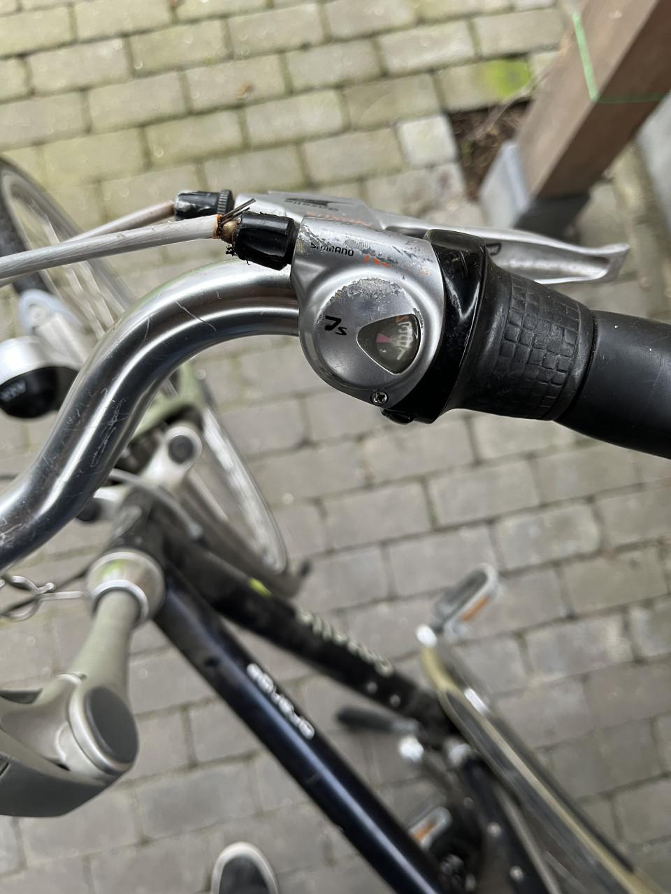 Gazelle Orange Herenfiets - 55