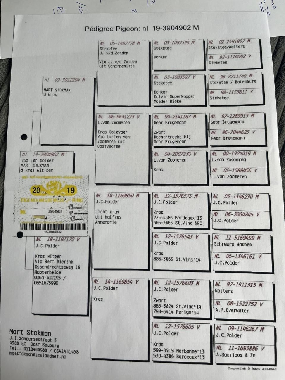 Wedstrijd duiven