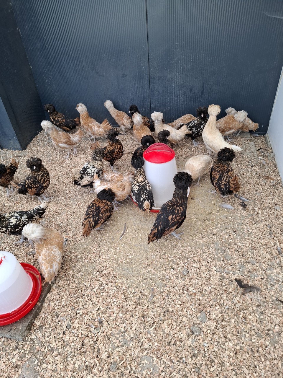 Maandag 2e pinksterdag geopend van 10-16 uur.