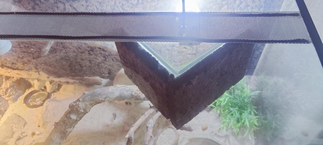 Terrarium