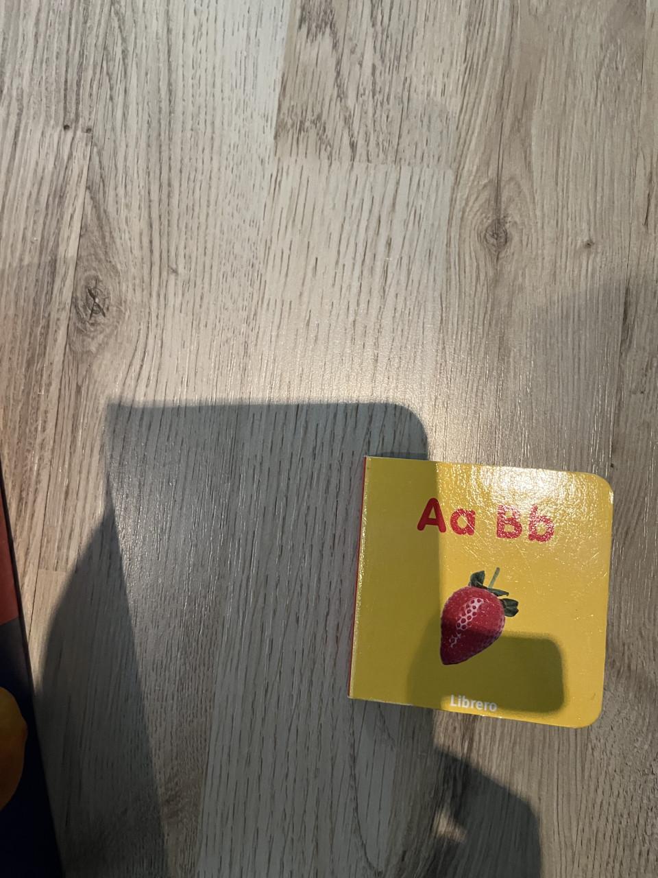 10 educatieve kartonnen boekjes