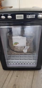 Broedstoof incubator exo terra