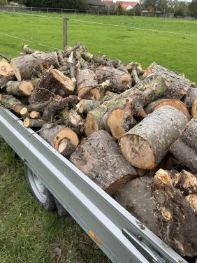 Openhaardhout hout