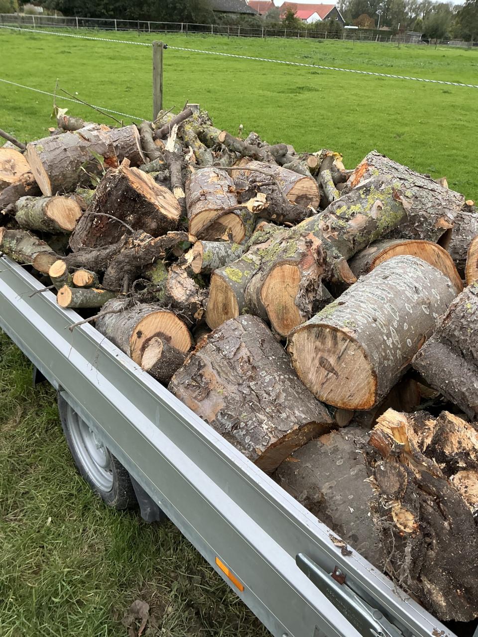 Openhaardhout hout