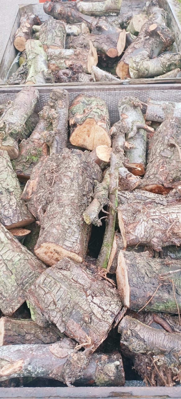 Diverse soorten haardhout