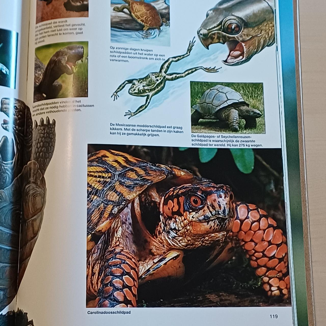 Natuur Encyclopedie