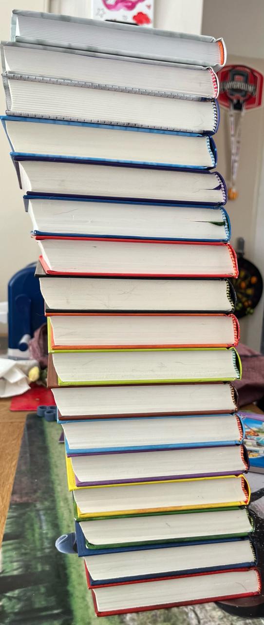 17 boeken Leven van een Loser