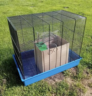 Hamster/rattenkooi