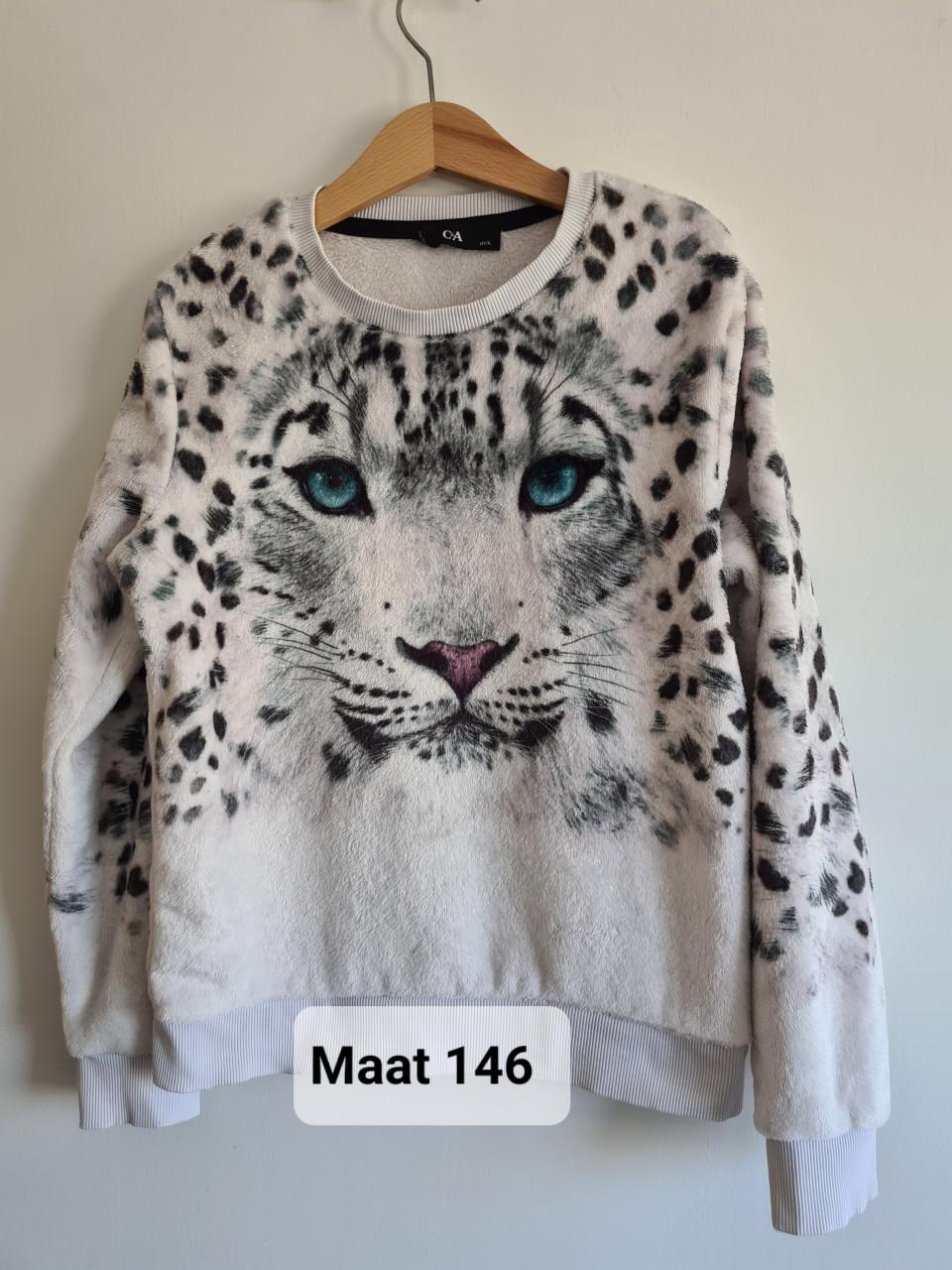 Zachte ecru trui met tijgerprint van C&A Mt 146