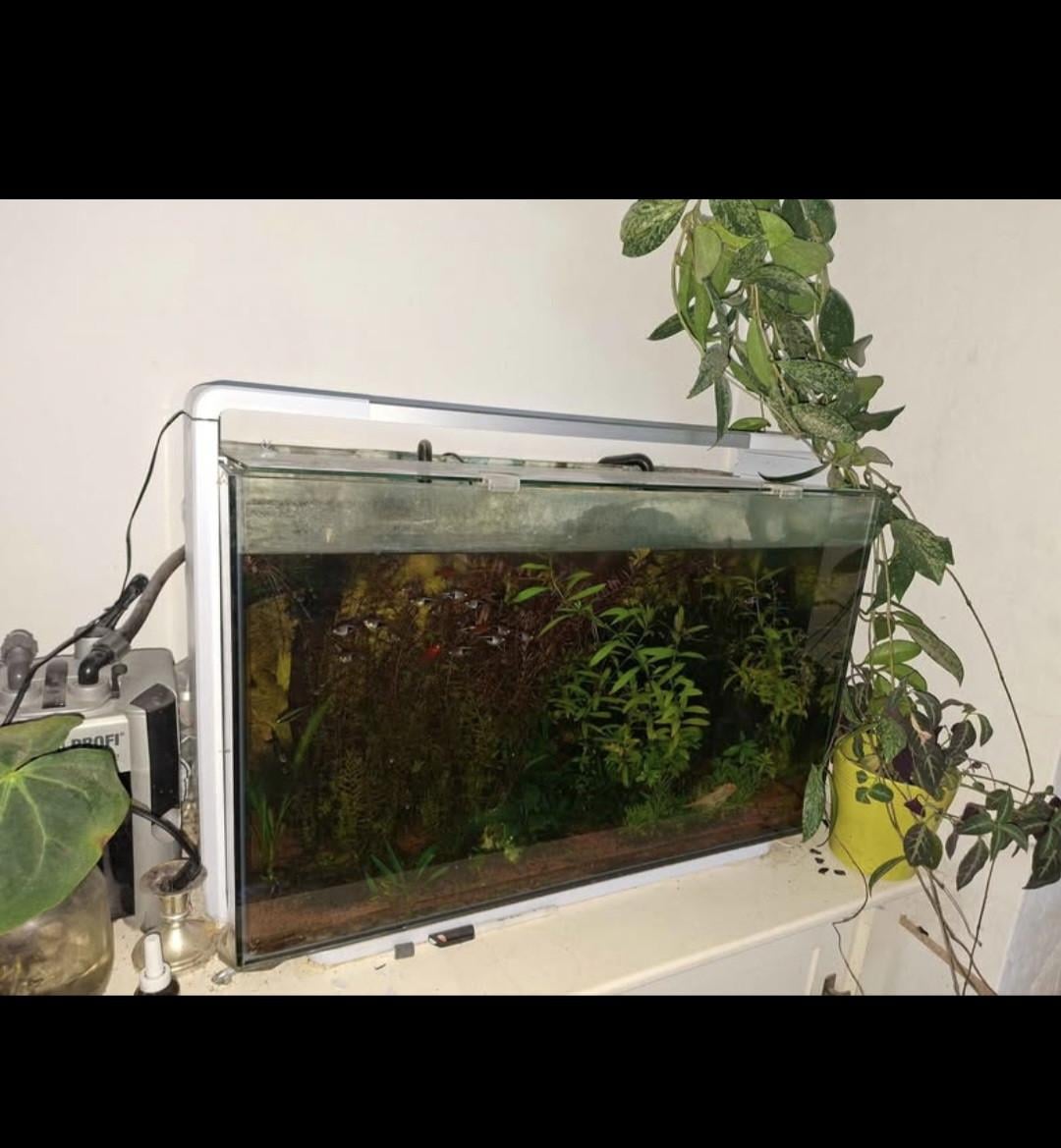 Aquarium