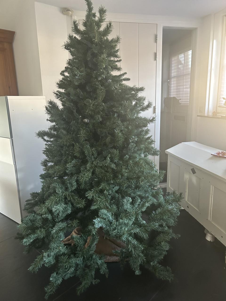 Kerstboom ong 2 meter.