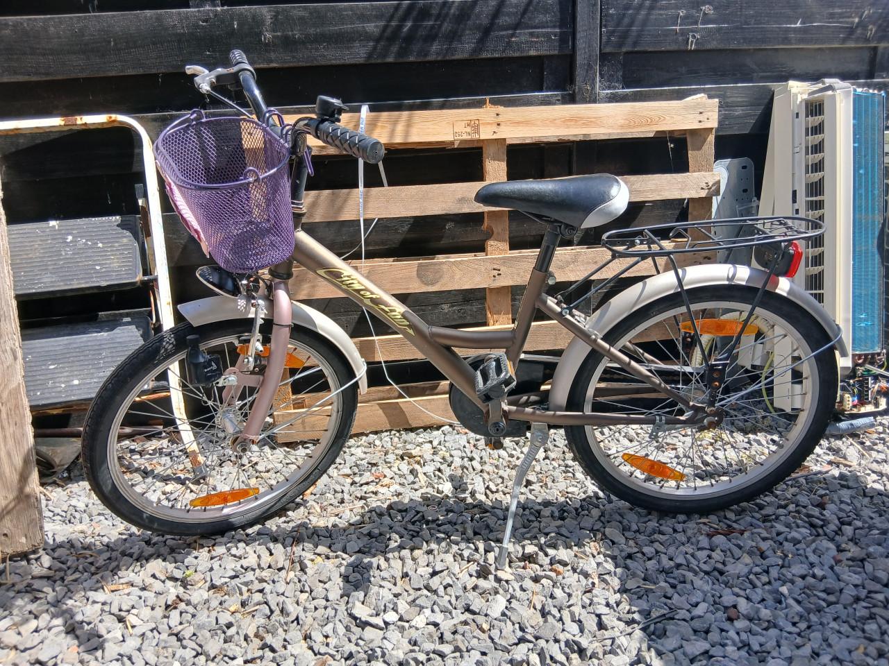 Meisjesfiets 20 inch