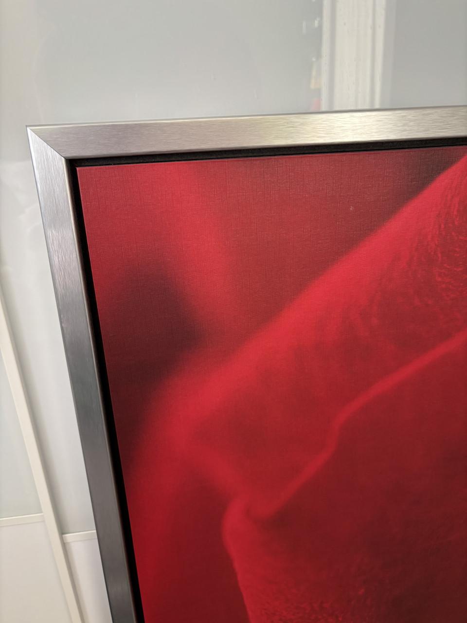 Groot schilderij roos- 140x100 cm