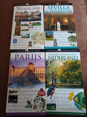 Capitool reisgidsen 4 keer