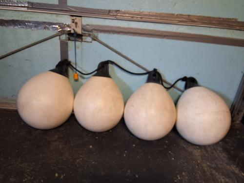 Bolfenders te koop