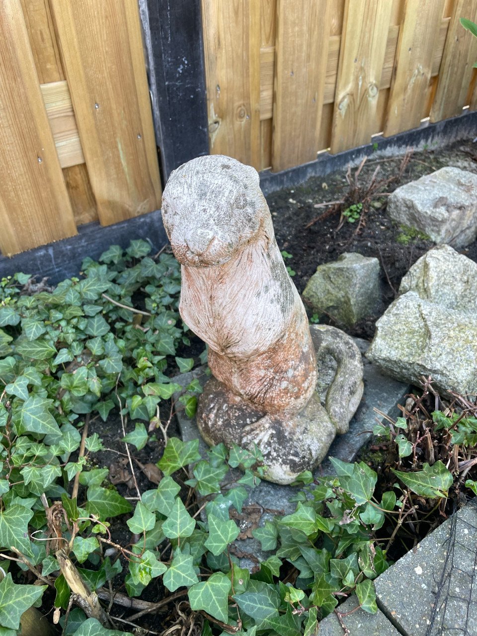 Vijver pomp planten