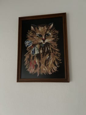 Leuke geborduurde kat