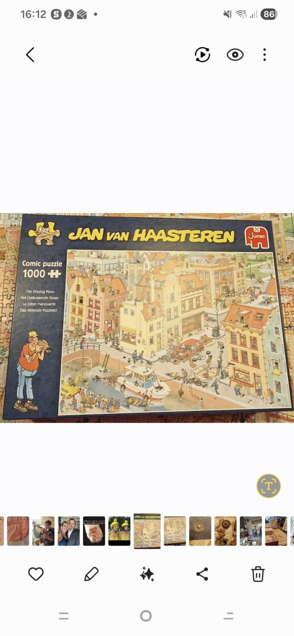 Puzzel Jan van Haasteren Het ontbrekende stukje 1000st