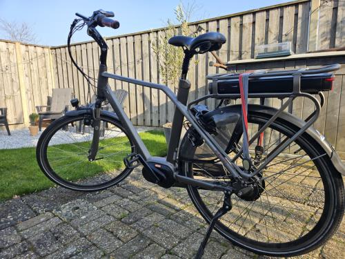 Button elektrische herenfiets